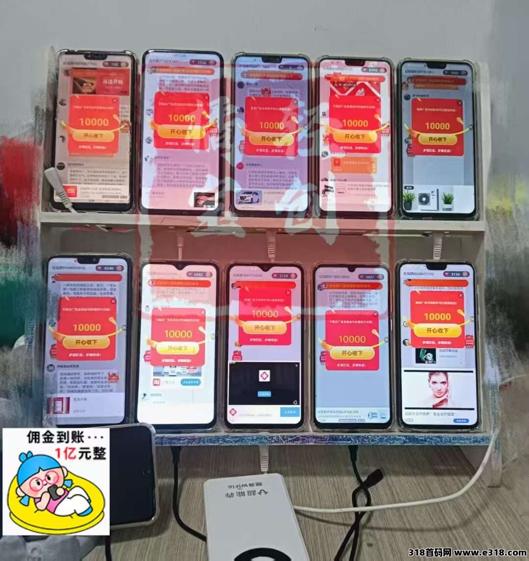 首码古董猫刚出，单机一天收益高